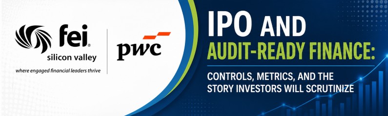 IPO and Audit Ready Finance  Controls  Metrics  and the Story Investors Will Scrutinize